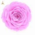 9-10cm Big Size Preserved Flower Rose for Decor Supplies 3