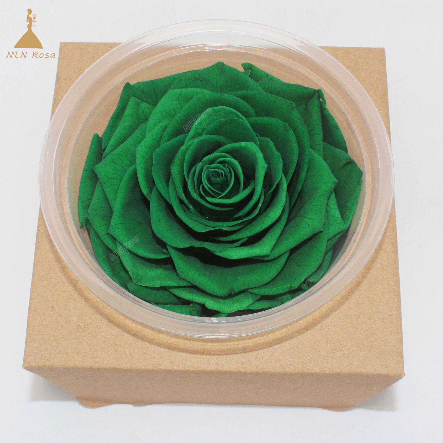 9-10cm Big Size Preserved Flower Rose for Decor Supplies 4