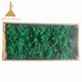 Wholesale Pure Preserved Moss for Indoor Wall Decoration 3