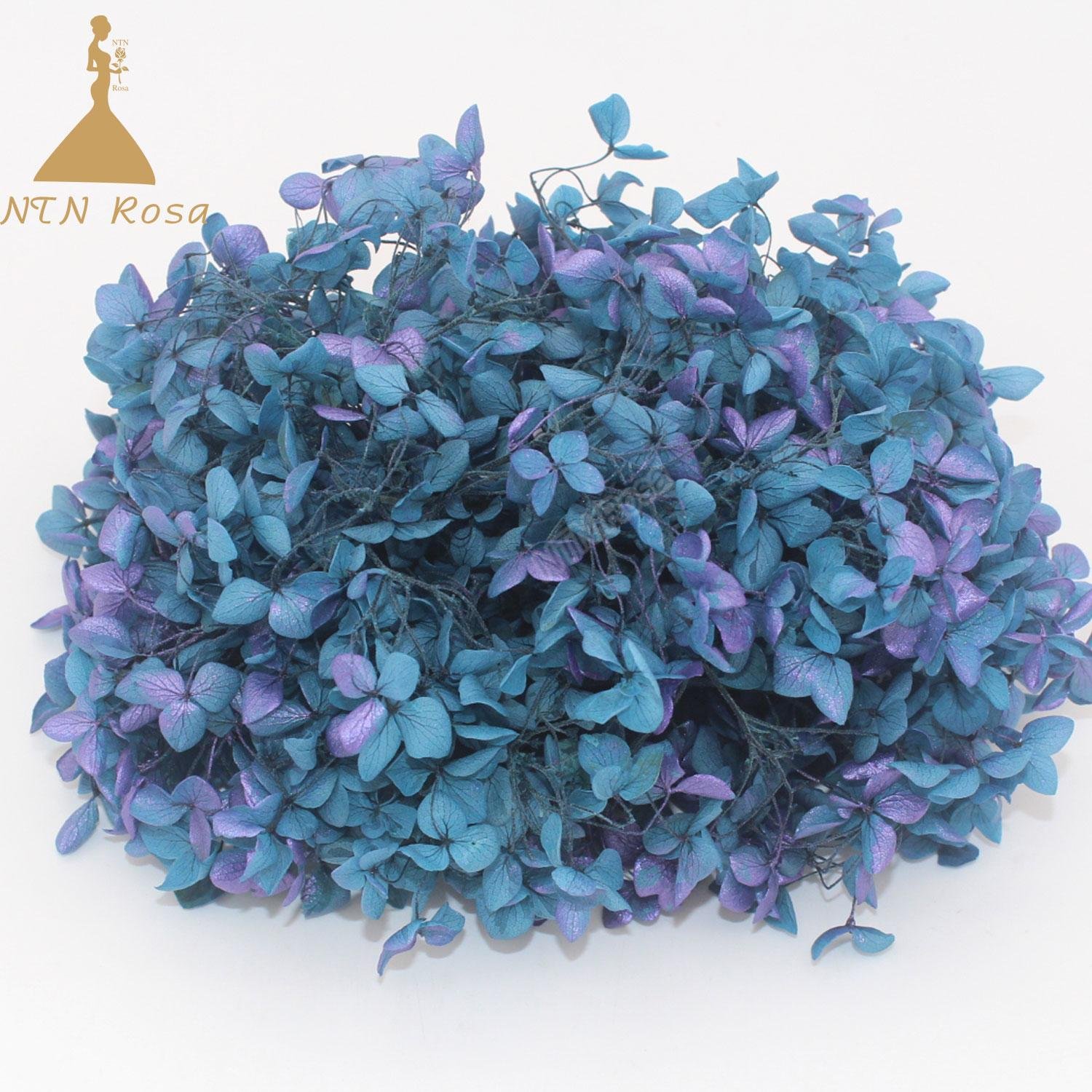 Grade A Small Leaf Preserved Hydrangea with More than 40 Colors 2