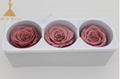 6-7cm Big Sale  Preserving Flowers for Floral Arrangements 5