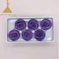 5-6cm Most Popular Colorful Stabilized Flowers for Flower Shop Decor 5