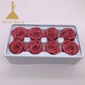 4-5cm Preserved Forever Real Rose Flower as Wedding Decoration Material