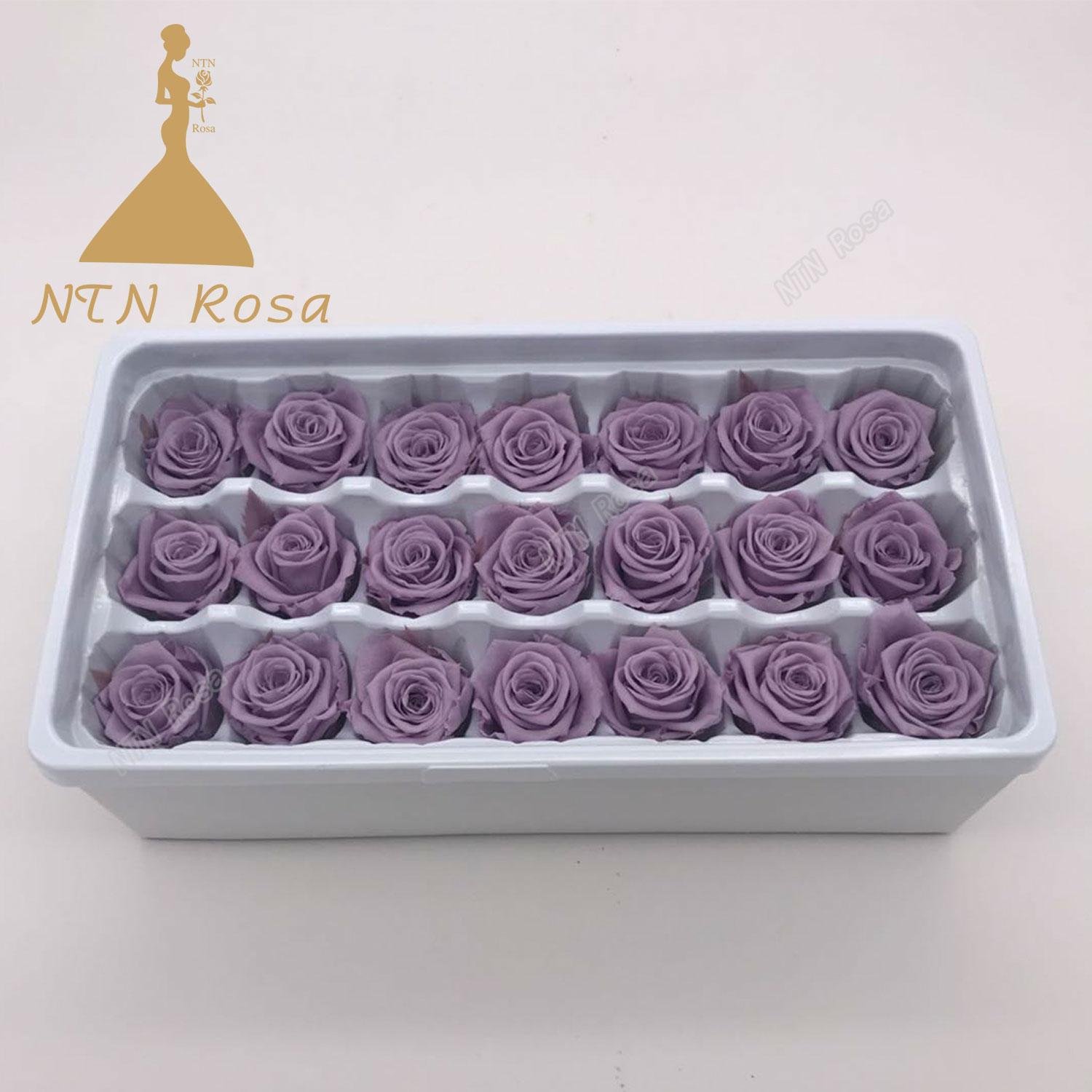 2-3cm Factory Supply Best Selling Red Preserved Roses at Cheapest Price