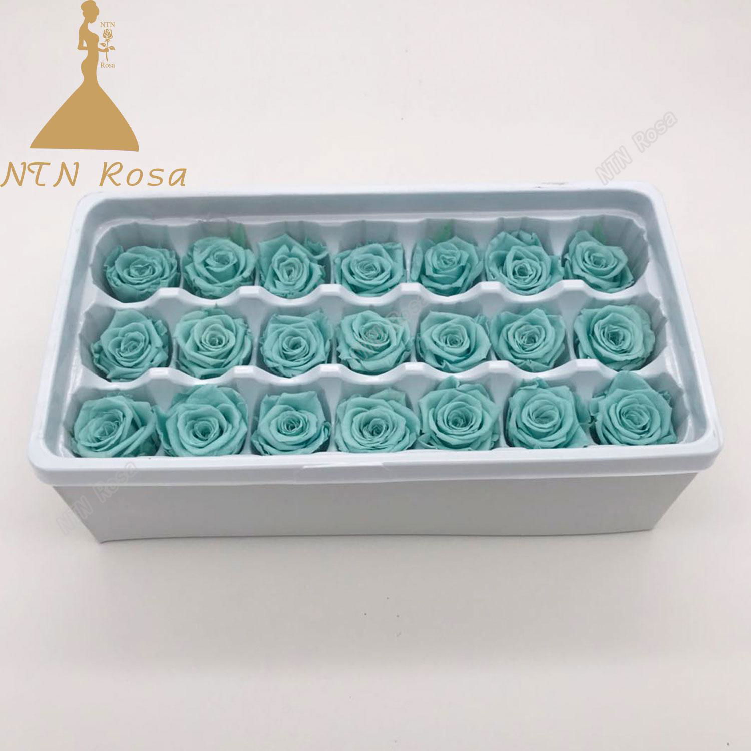 2-3cm Factory Supply Best Selling Red Preserved Roses at Cheapest Price 2