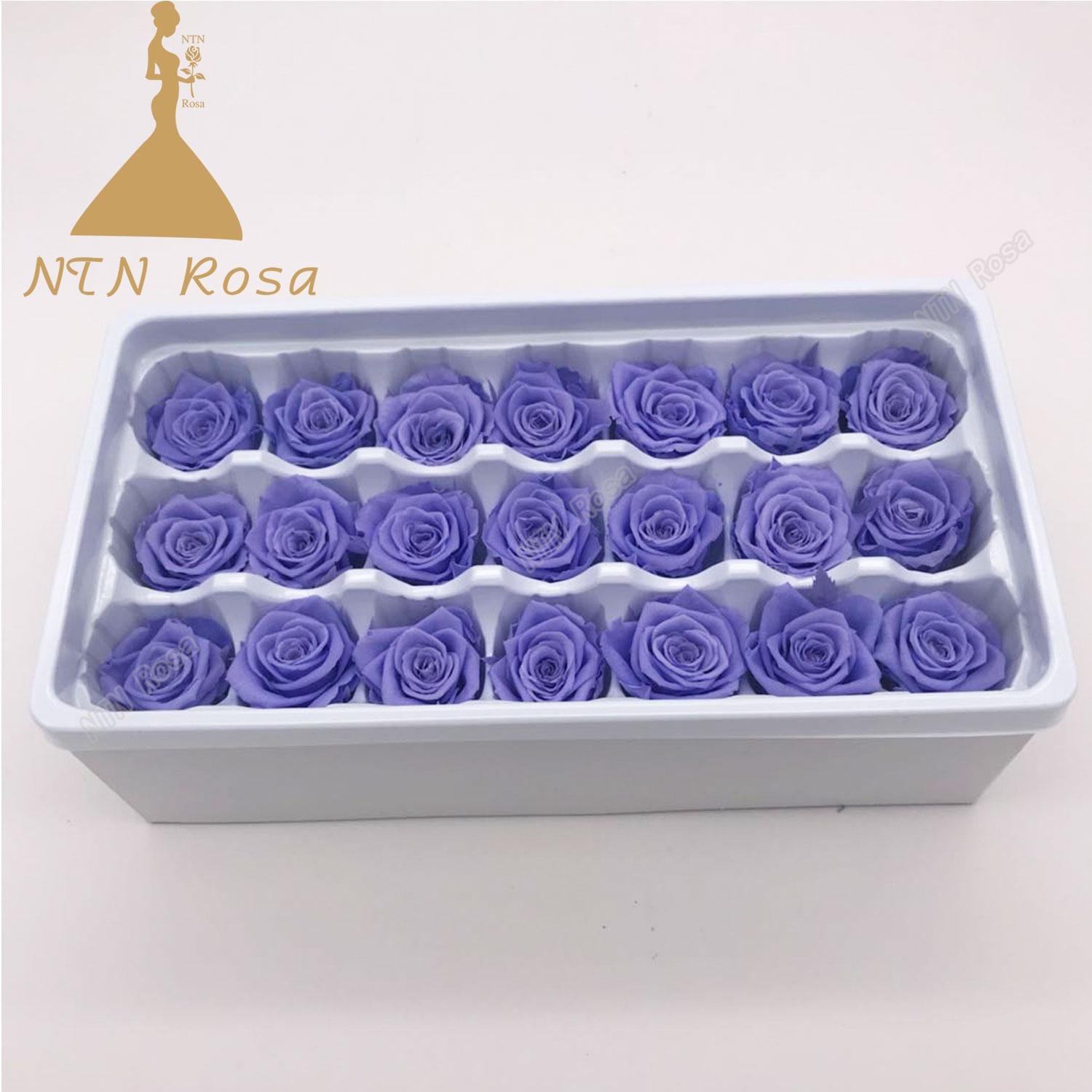 2-3cm Factory Supply Best Selling Red Preserved Roses at Cheapest Price 3