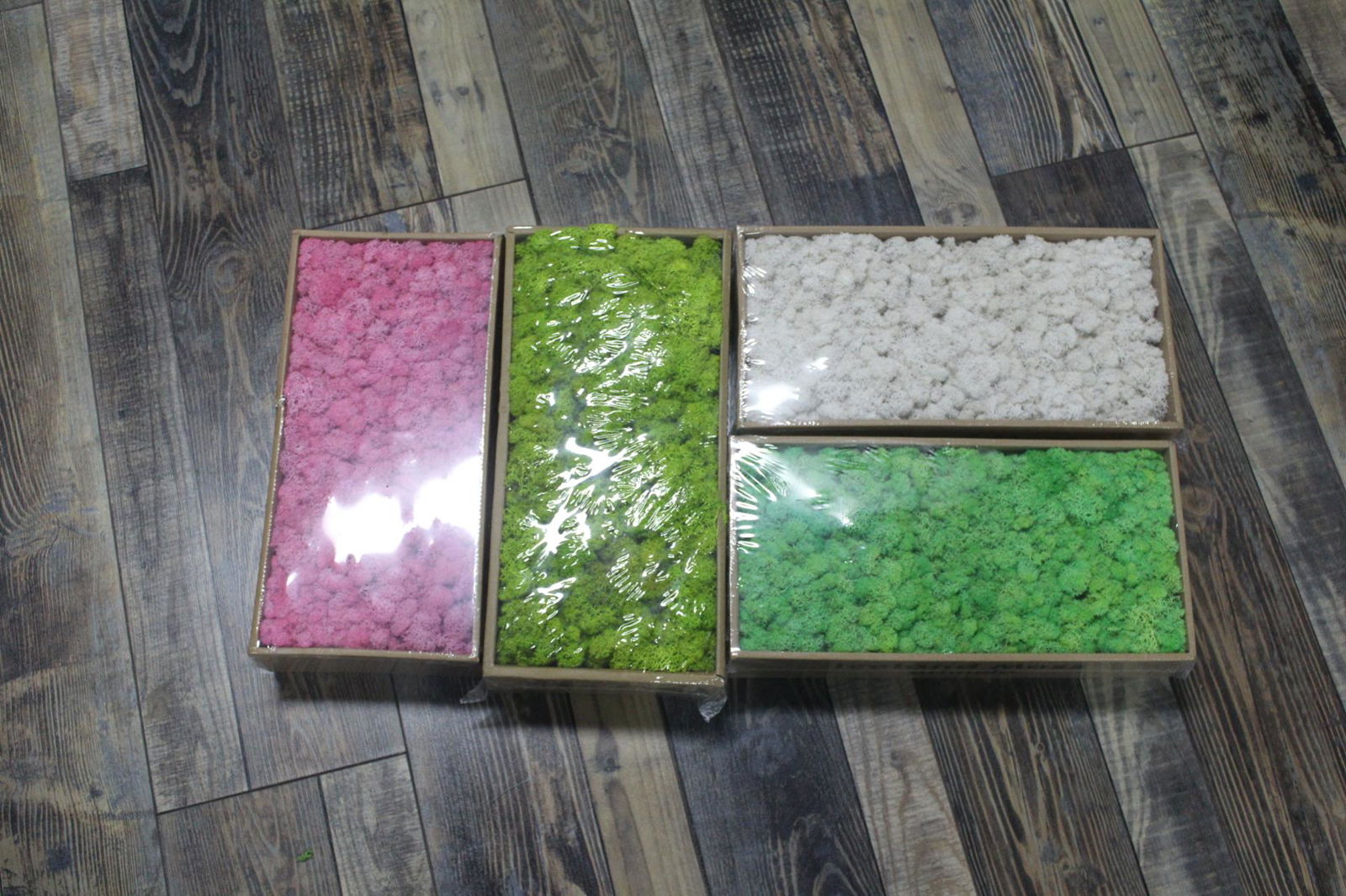 Preserved Reindeer Moss for Floral Centerpiece Arrangement NTNM002