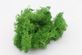 Preserved Reindeer Moss for Floral