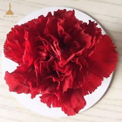 5-6 cm Red  Preserved Carnation Flower  