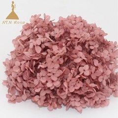  DIY Glass Dome Filling Supplies 20g Real Preserved Hydrangea Macrophylla