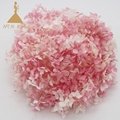  DIY Glass Dome Filling Supplies 20g Real Preserved Hydrangea Macrophylla 4