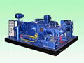 CNG Compressor For Filling Stations 2