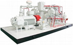 Natural gas compressor