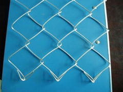 Chain link fence