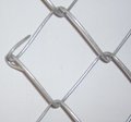 Chain link fence 3