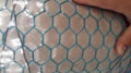 Galvanized hexagonal wire mesh netting 2