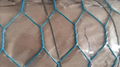 Galvanized hexagonal wire mesh netting 1