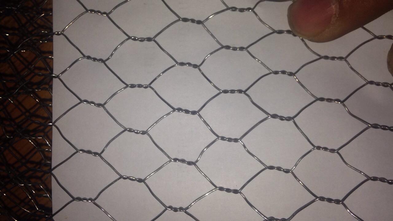 Galvanized hexagonal wire mesh netting 3