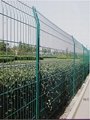 PVC coated galvanized wire mesh fence