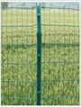 PVC coated galvanized wire mesh fence 2