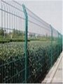 PVC coated galvanized wire mesh fence 4