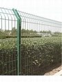 PVC coated galvanized wire mesh fence 5