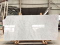 Carrara White marble slabs marble tiles 3