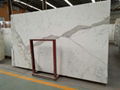 Calacatta white marble tiles 1