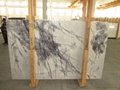 New York marble slabs marble tiles 4