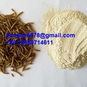 dried mealworm 4
