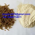 mealworm protein powder 1