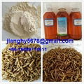 mealworm protein powder 2