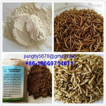 mealworm protein powder 5