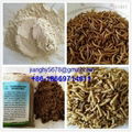 dried mealworm powder 3