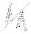 Extension Ladder 1