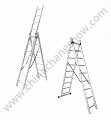 Extension Ladder