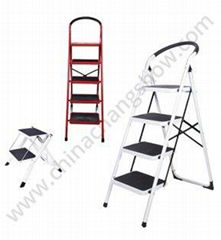 Steel Ladder