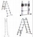 Telescopic（bamboo) Ladder 1