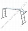 Self Supporting Extension Mobile Library Ladder