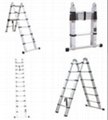 Telescopic Ladder 1