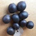Black Iron Shell Lotus Seed Nut Kernel Lotus Extract 3