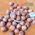 Red Lotus Seed Nut Kernel Lotus Extract 1