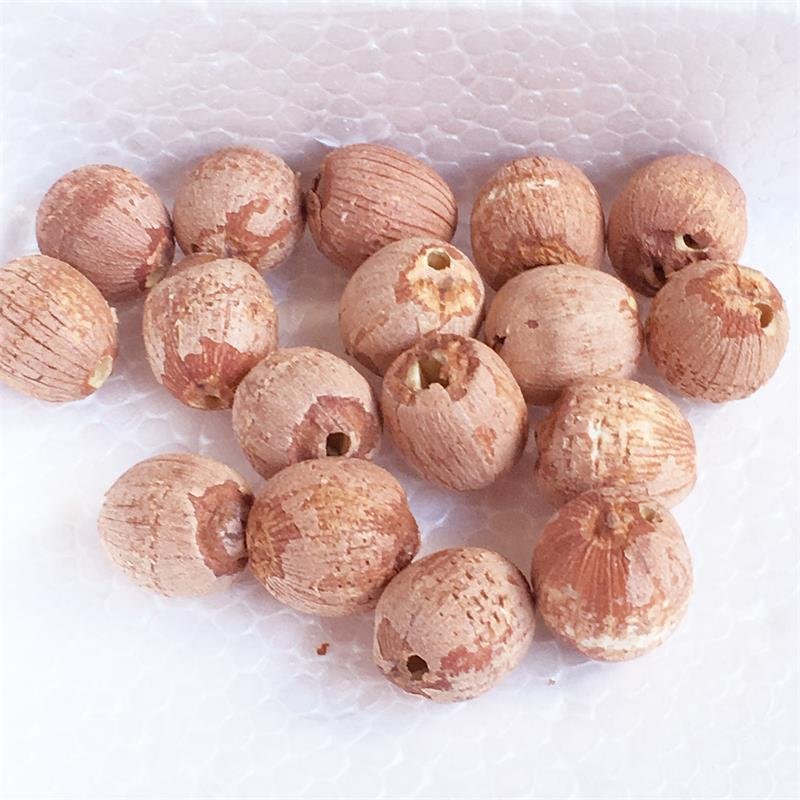 Red Lotus Seed Nut Kernel Lotus Extract 2