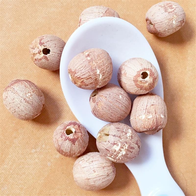 Red Lotus Seed Nut Kernel Lotus Extract 5