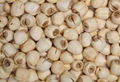 Handmade White Lotus Seed Nut Kernel Lotus Extract 3