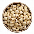 Handmade White Lotus Seed Nut Kernel Lotus Extract 5