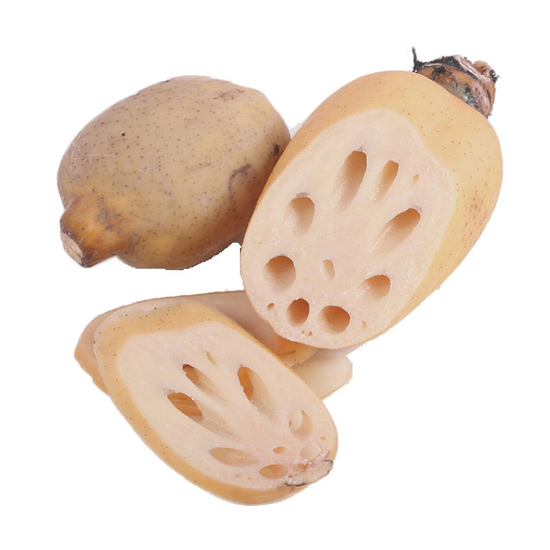 Fresh Frozen Edible Lotus Root Rhizome Vegetable 2