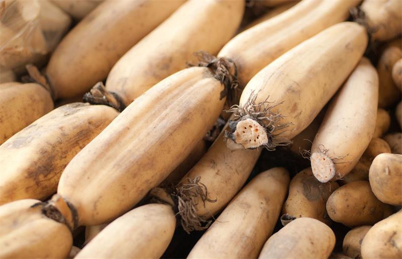 鲜莲藕 速冻保鲜冷冻菜藕