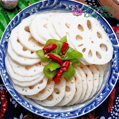 Fresh Frozen Edible Sliced Lotus Root Chips Rhizome Slices Vegetabl