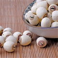 Grinding White Lotus Seed Nut Kernel Lotus Extract 2